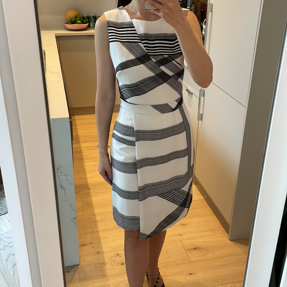 Ted Baker Dress